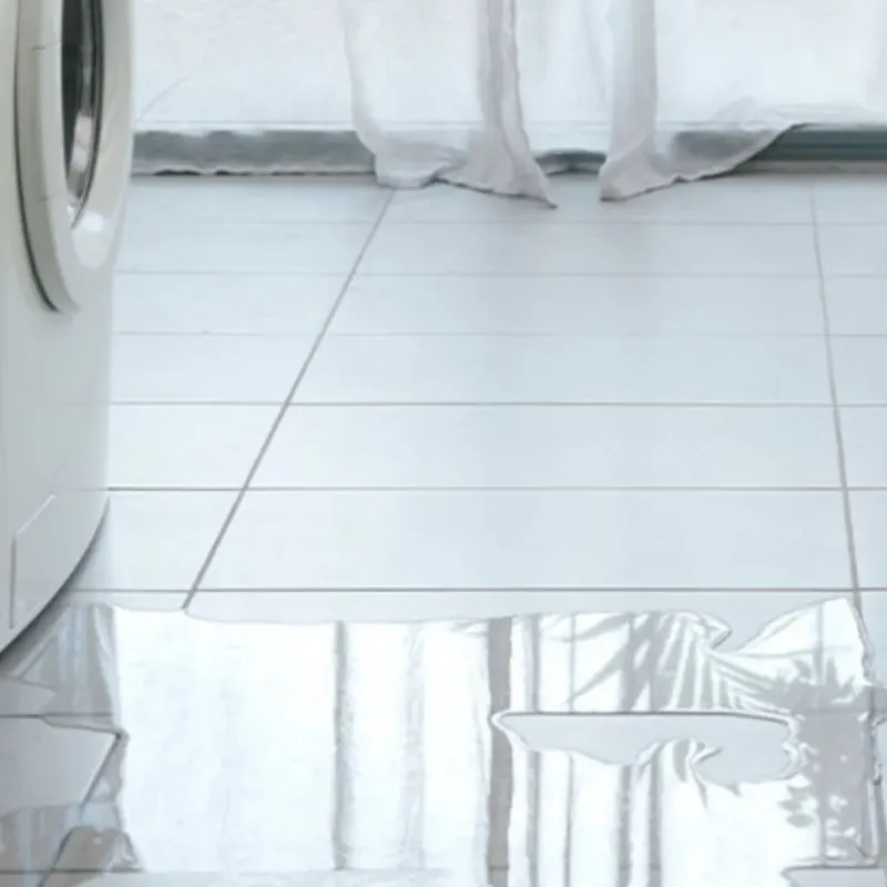Appliance Leak Cleanup in Convent, LA